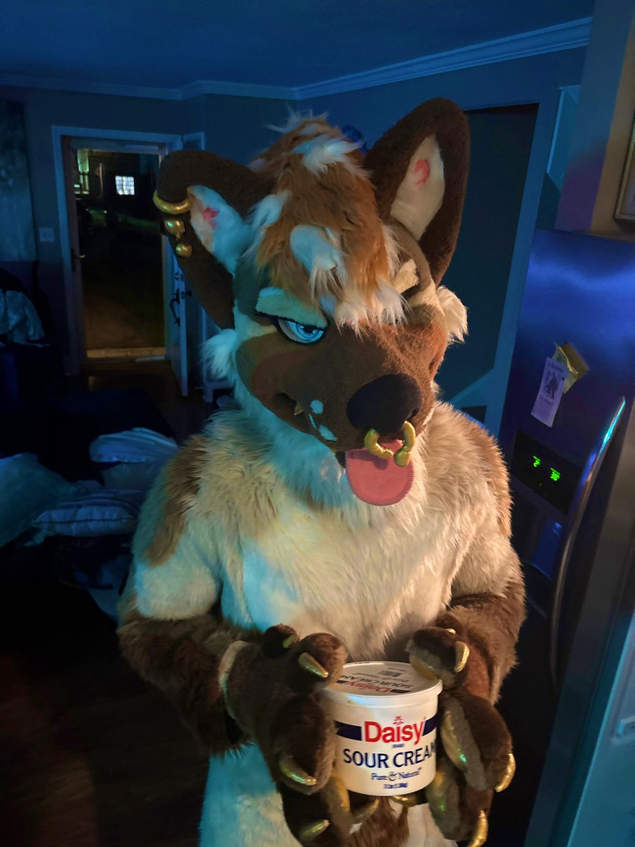 PAWMAINS's tweet photo. Comes into your house and starts eating your bulk sour cream *buuuurp* https://t.co/2cF4eJ2A6I