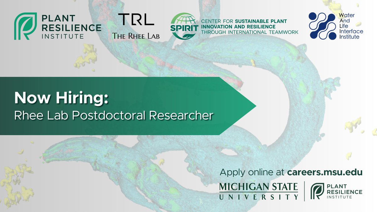 MSU_PRI's tweet image. The MSU Plant Resilience Institute is now hiring a postdoctoral researcher to investigate how nematodes respond to chemical and environmental cues as part of the C-SPIRIT and @WALIIAnhydro initiatives. 🪱

Apply now: careers.msu.edu/jobs/research-…