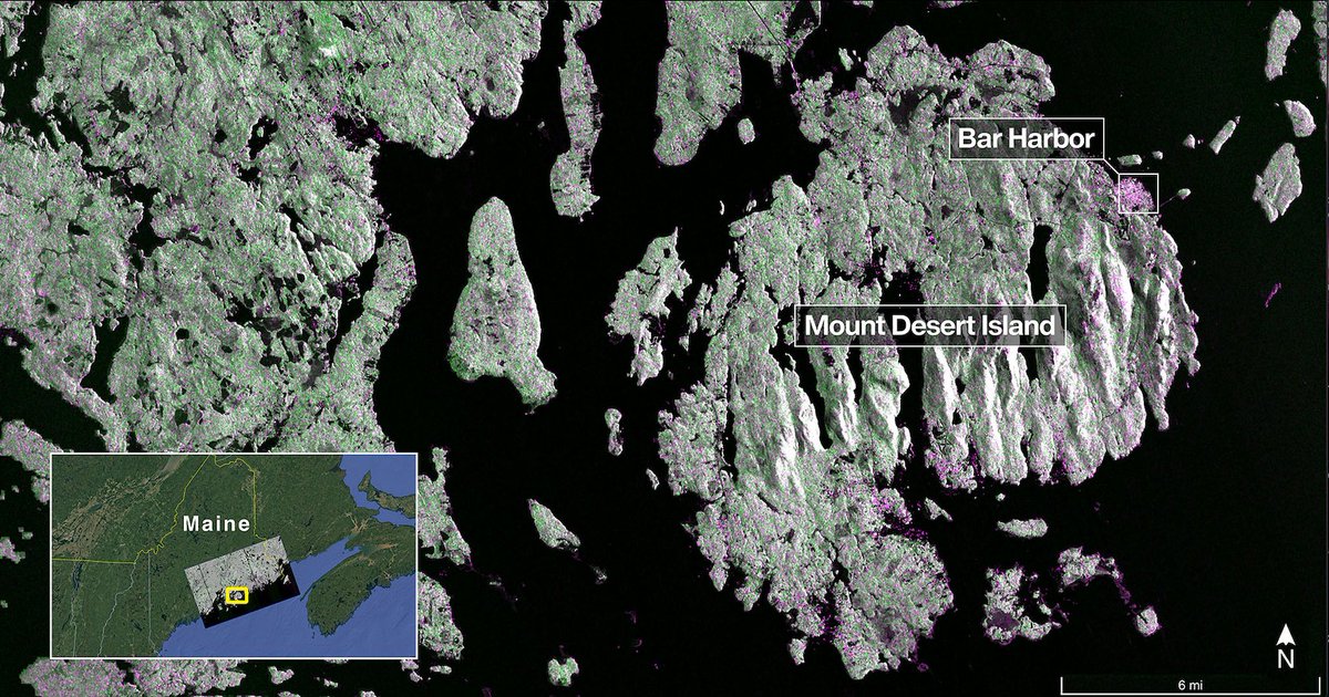 NASA's tweet image. A nice(ar) view of Earth 😎
NISAR has released preliminary radar images that showcase its ability to distinguish between different land cover. Launched in July, this satellite tracks changes in land and ice surfaces on Earth. go.nasa.gov/42HjY8Q