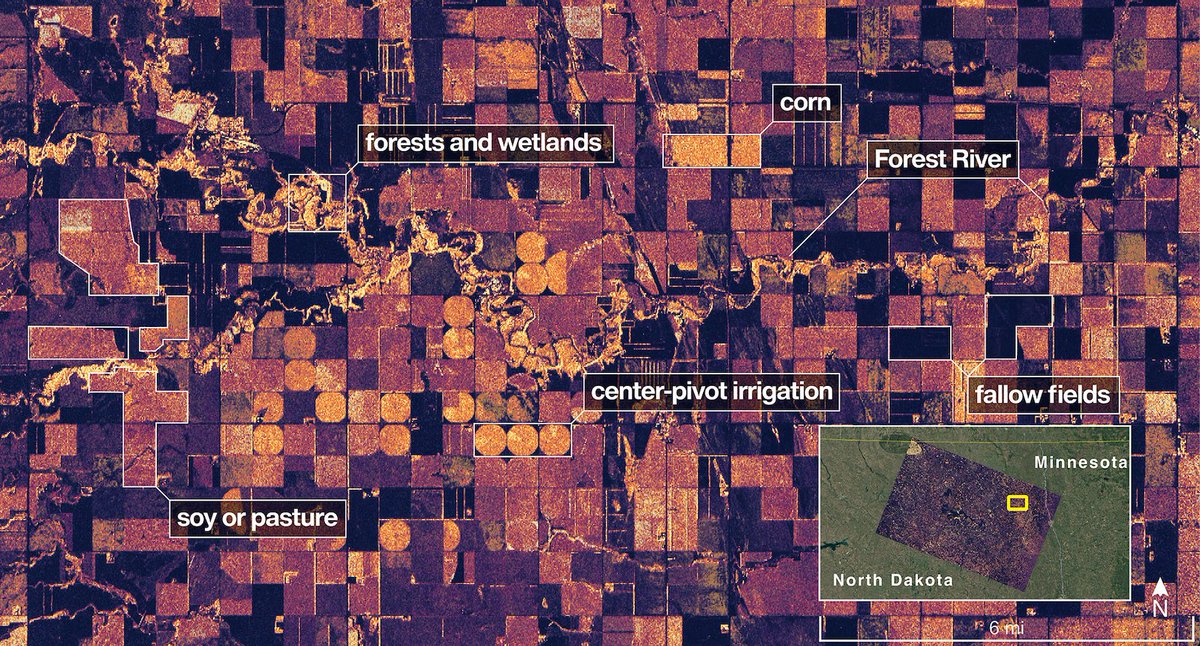 NASA's tweet image. A nice(ar) view of Earth 😎
NISAR has released preliminary radar images that showcase its ability to distinguish between different land cover. Launched in July, this satellite tracks changes in land and ice surfaces on Earth. go.nasa.gov/42HjY8Q