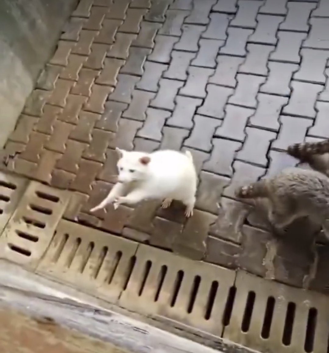 Senin ömür boyu tüm masraflarını karşılamak istiyorum 😭😭