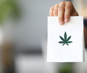 Essential Transportation Tips for Your Dispensary Business medicalmarijuanapages.com/essential-tran…