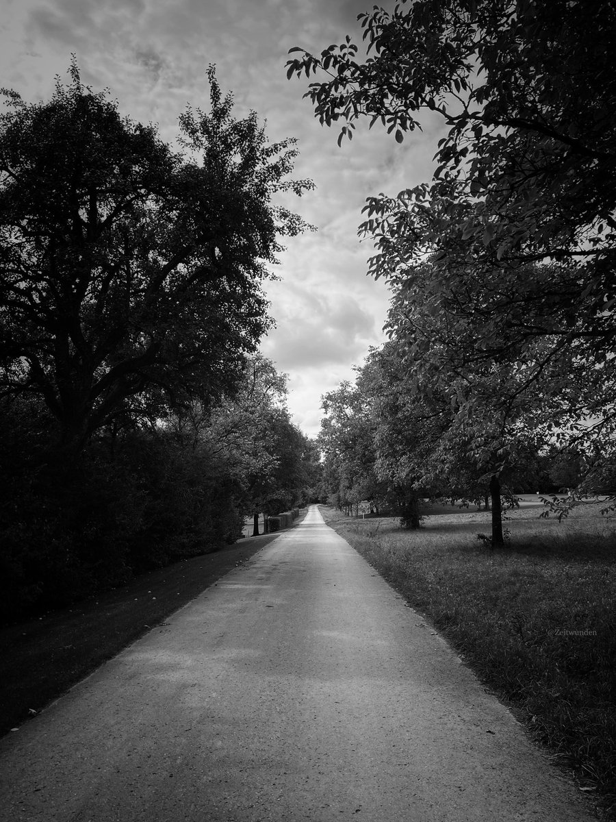 ƵϢ (@zeitwunden) on Twitter photo 