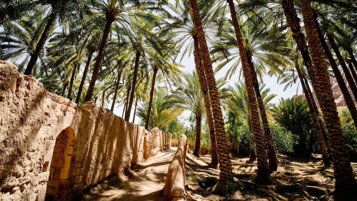 SaudiProject's tweet photo. شركة #دان، إحدى شركات صندوق الاستثمارات العامة والمتخصصة في السياحة الريفية، تطلق علامة الضيافة السعودية #سُلان كأول نموذج امتياز تجاري يتيح لأصحاب المزارع والاستراحات تحويلها إلى وجهات سياحية، حيث ستوفر التدريب والخبرة التشغيلية لتمكينهم من تقديم إقامة ريفية ذات جودة عالية https://t.co/eF0MF3GZgg