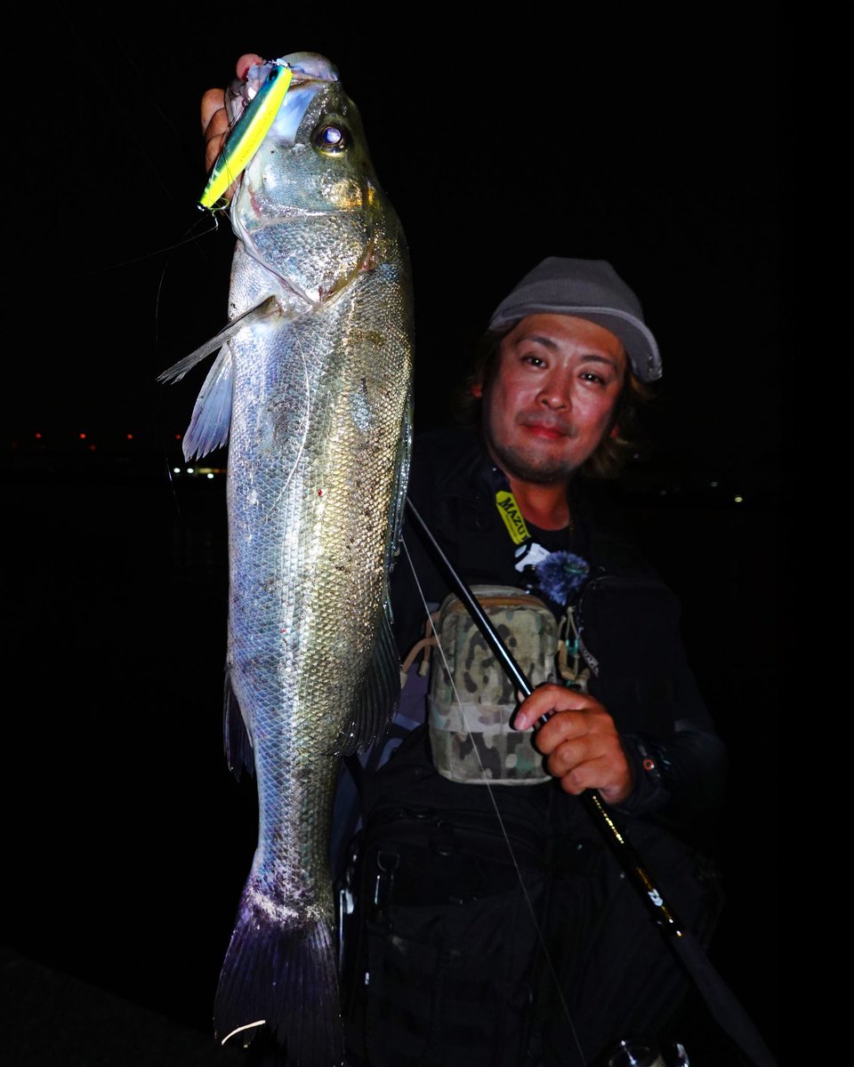 GONZO＠（hayaken) (@GONZOUDAIWA) / X