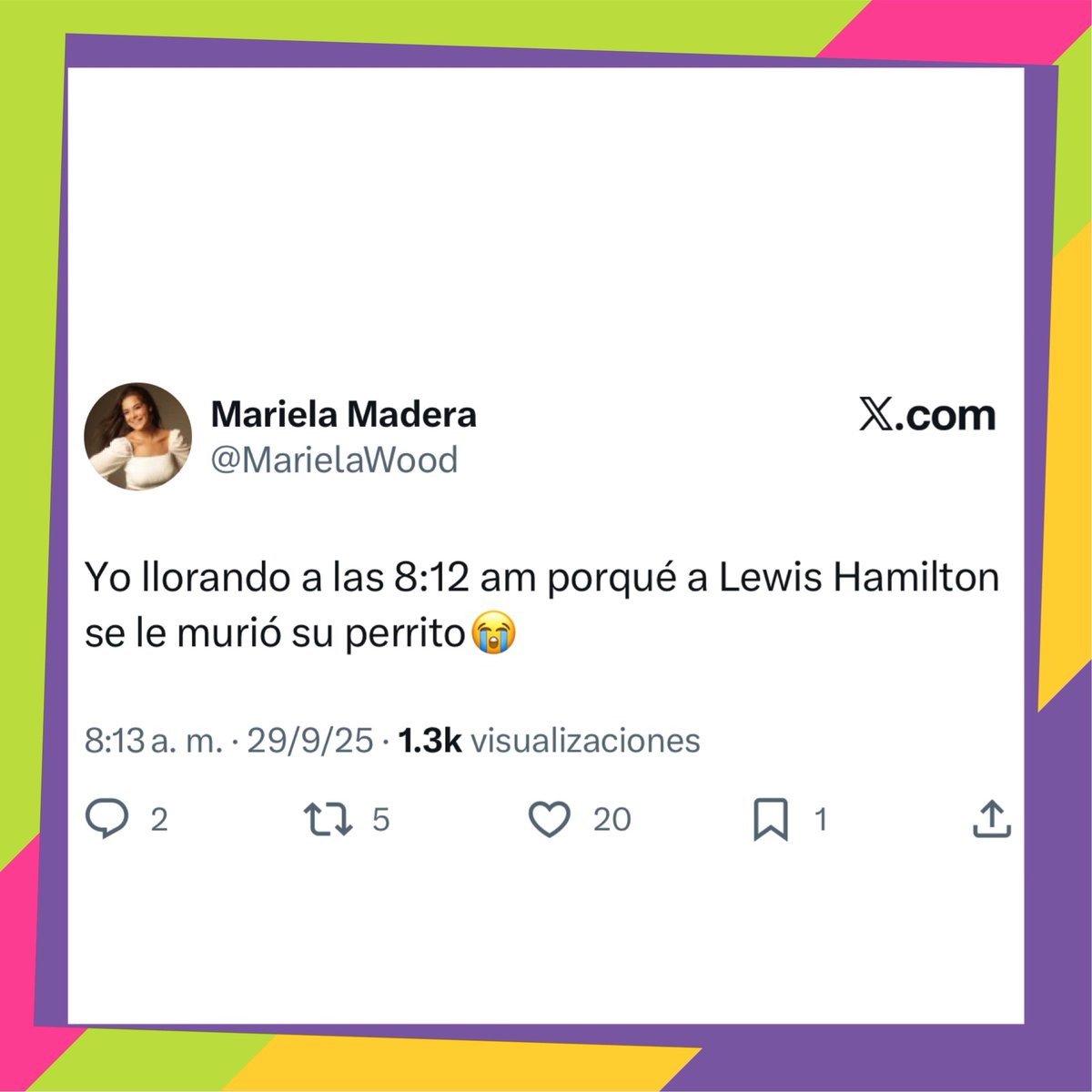 Tweets de Idiotas (@verguenzatw) on Twitter photo 