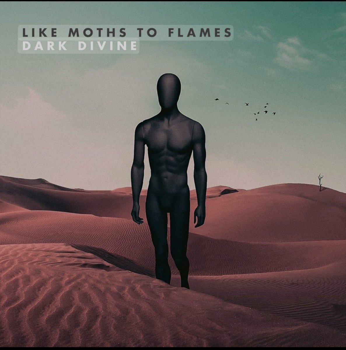 Brett_X_'s tweet photo. I couldn’t choose just 1 @LMTF @croetter #MothMonday https://t.co/J8OWnHtTQD