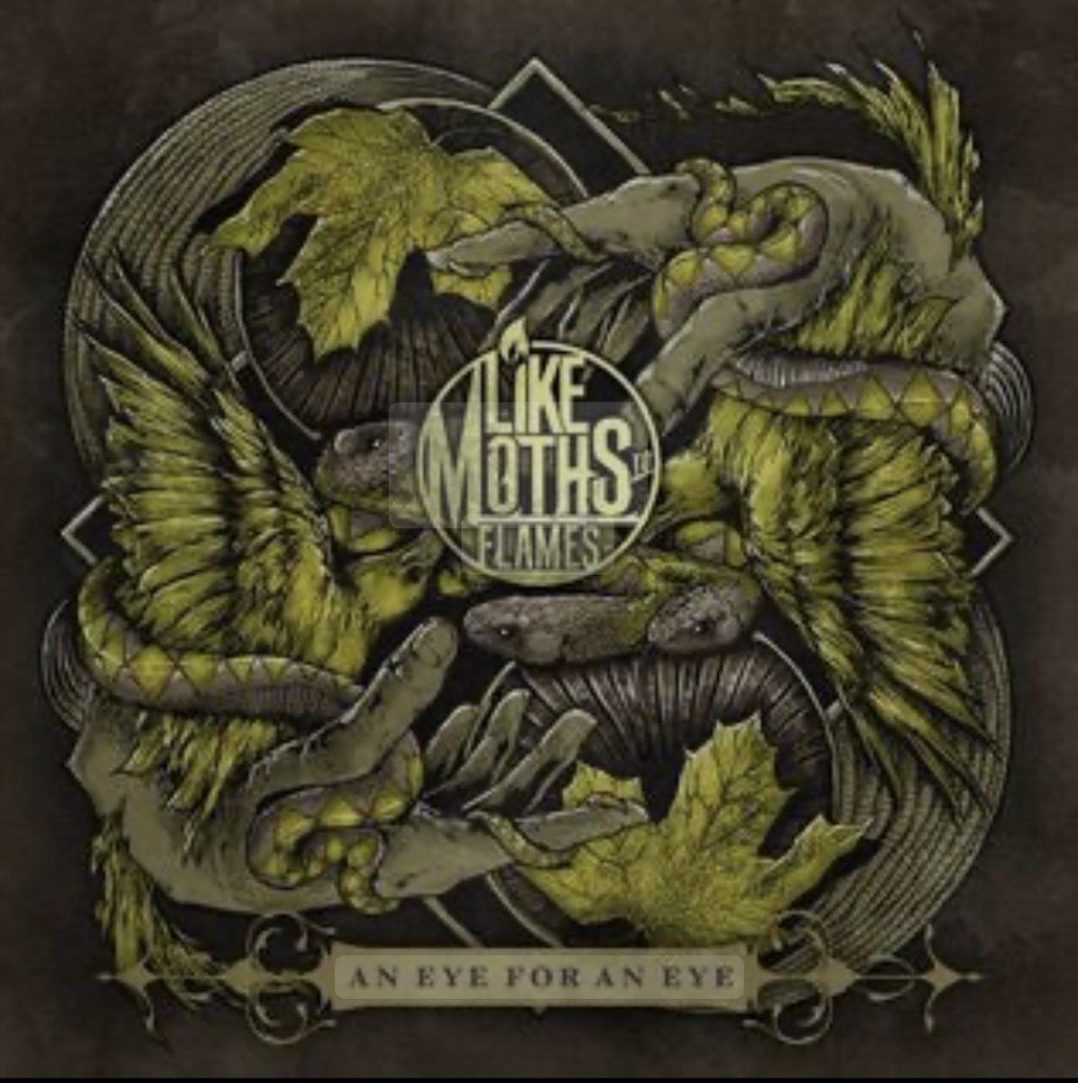Brett_X_'s tweet photo. I couldn’t choose just 1 @LMTF @croetter #MothMonday https://t.co/J8OWnHtTQD