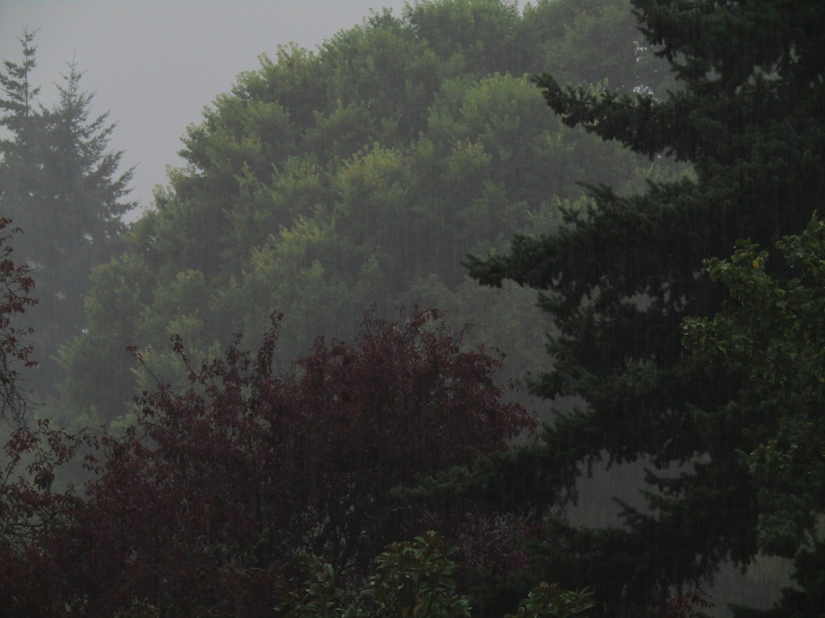 routinecolours's tweet image. A pure juvenescent dream...