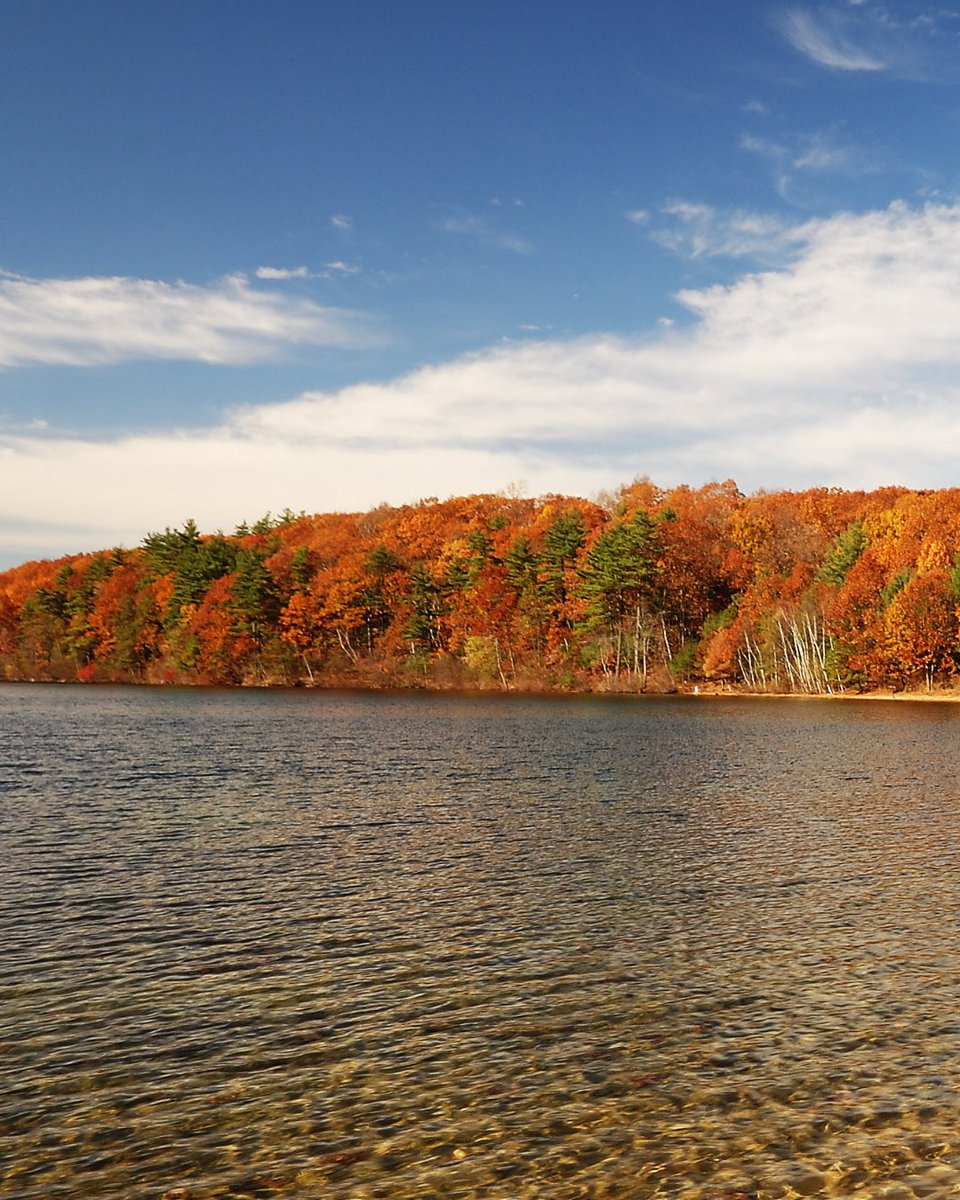 PharoMarineInc's tweet image. Cool air, calm water, and those fiery colors around the lake—it’s pure magic. 🚤✨

Where’s your favorite spot to catch the fall colors from your boat?

#FallBoating #LakeLifeWI #AutumnCruise #PharoMarine
