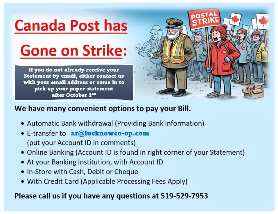 Lucknow Co-op (@lucknowcoop) on Twitter photo 