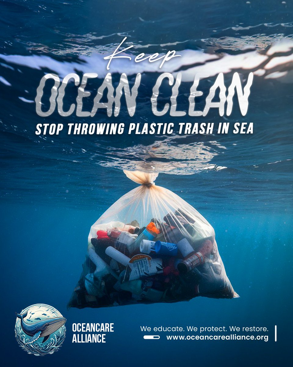 oceancareallnc's tweet photo. 🌊 Plastic doesn’t vanish—it sinks. Let’s end ocean pollution: say NO to single-use plastics & YES to a cleaner future. 💙
👉 Take the pledge today!
#oceancarealliance #keepoceanclean #saynotoplastic #protectwhatmatters #blueplanet #marineconservation #plasticfreeseas https://t.co/AdPZYxameb