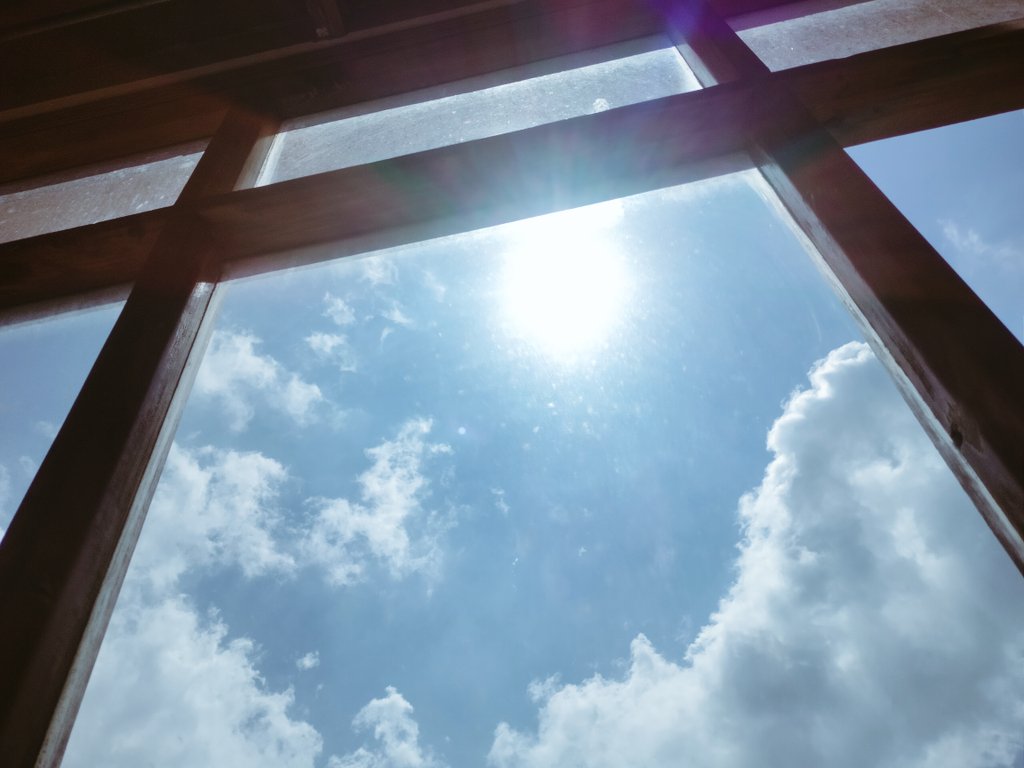 I love when the sun finds its way through the windows 🪟 
#shimla