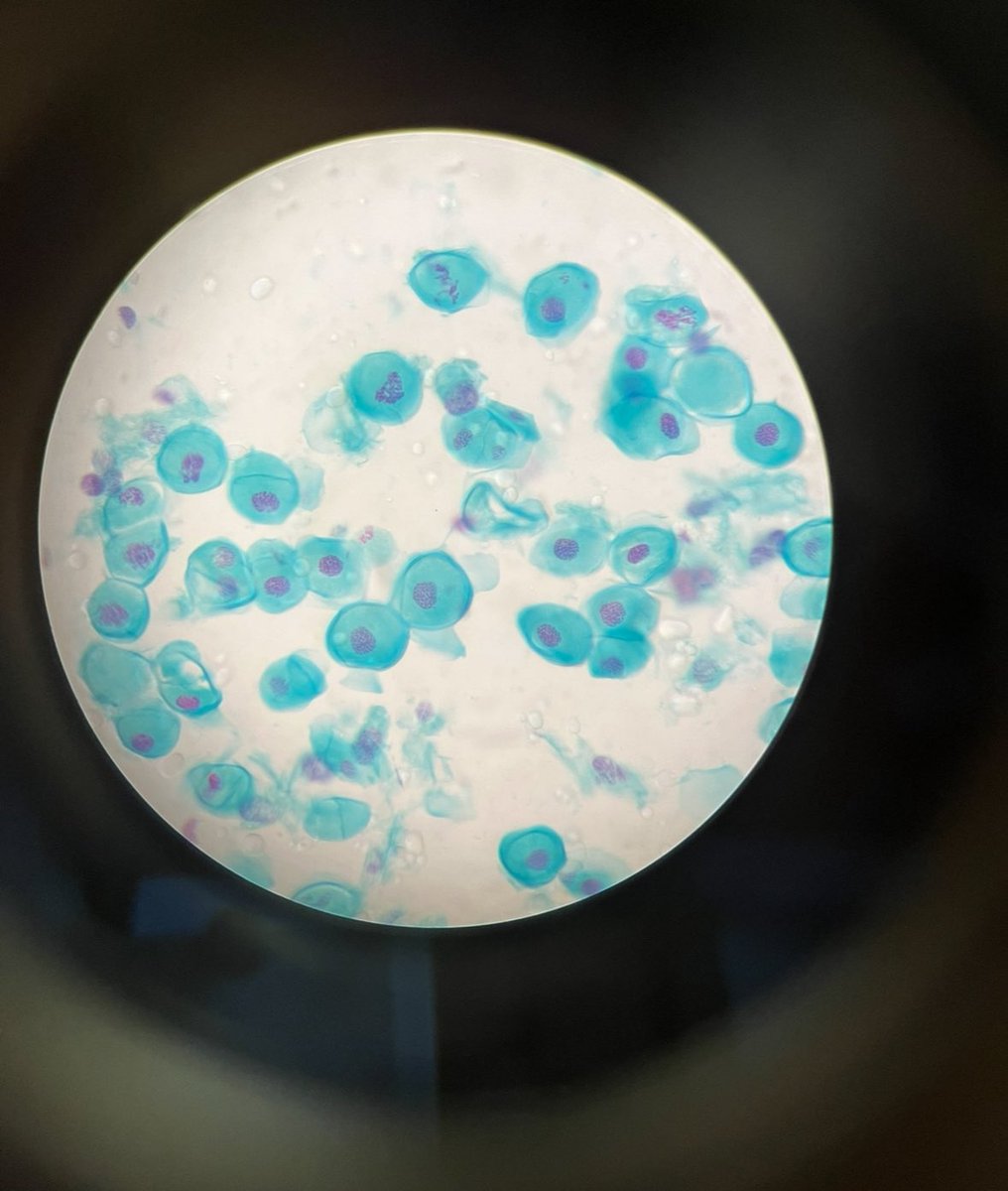 Ghaida ♡ tweet media