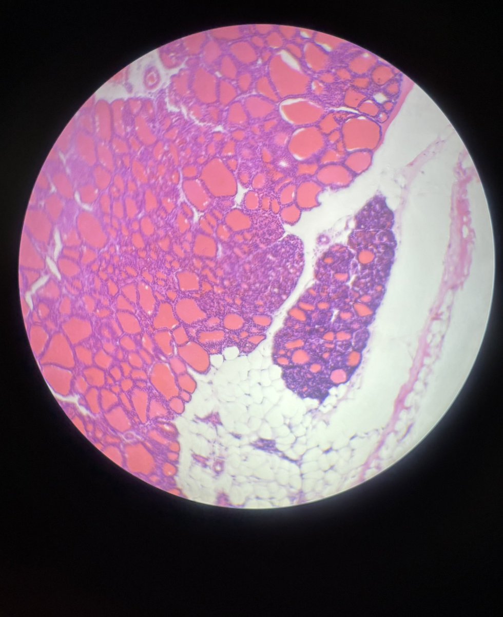 Ghaida ♡ tweet media