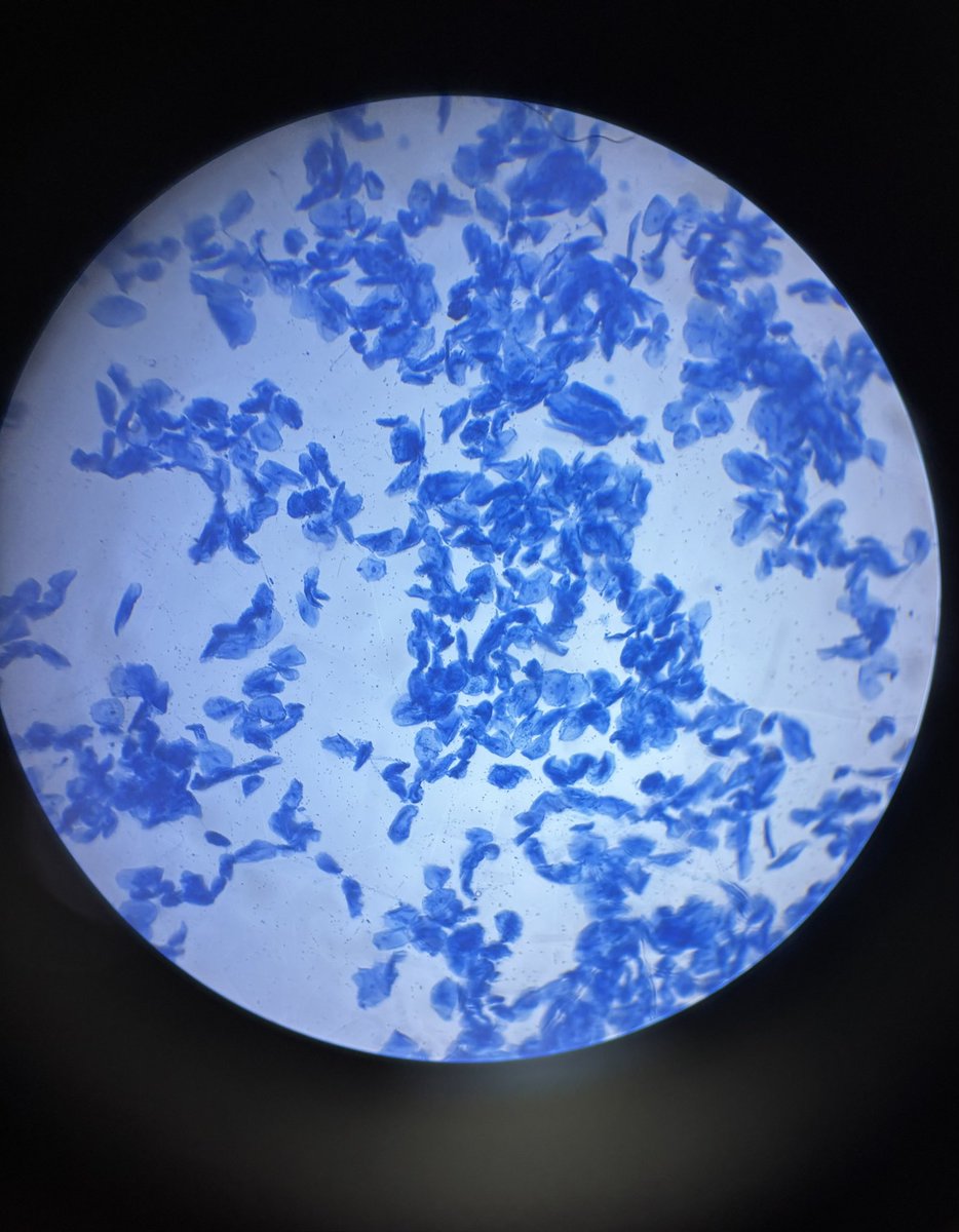 Ghaida ♡ tweet media