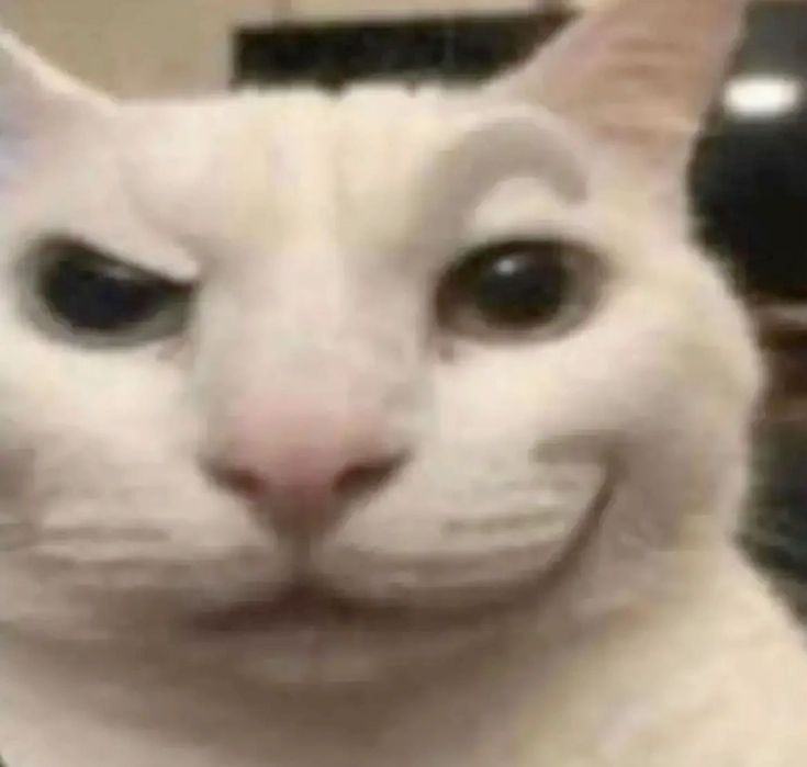 CoinMarketCap tweet media