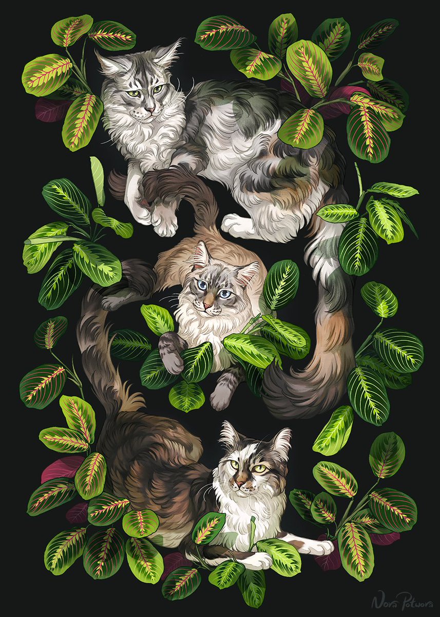 A decorative pet commission of three wonderful cats - Camilla, Mochi and Twister.