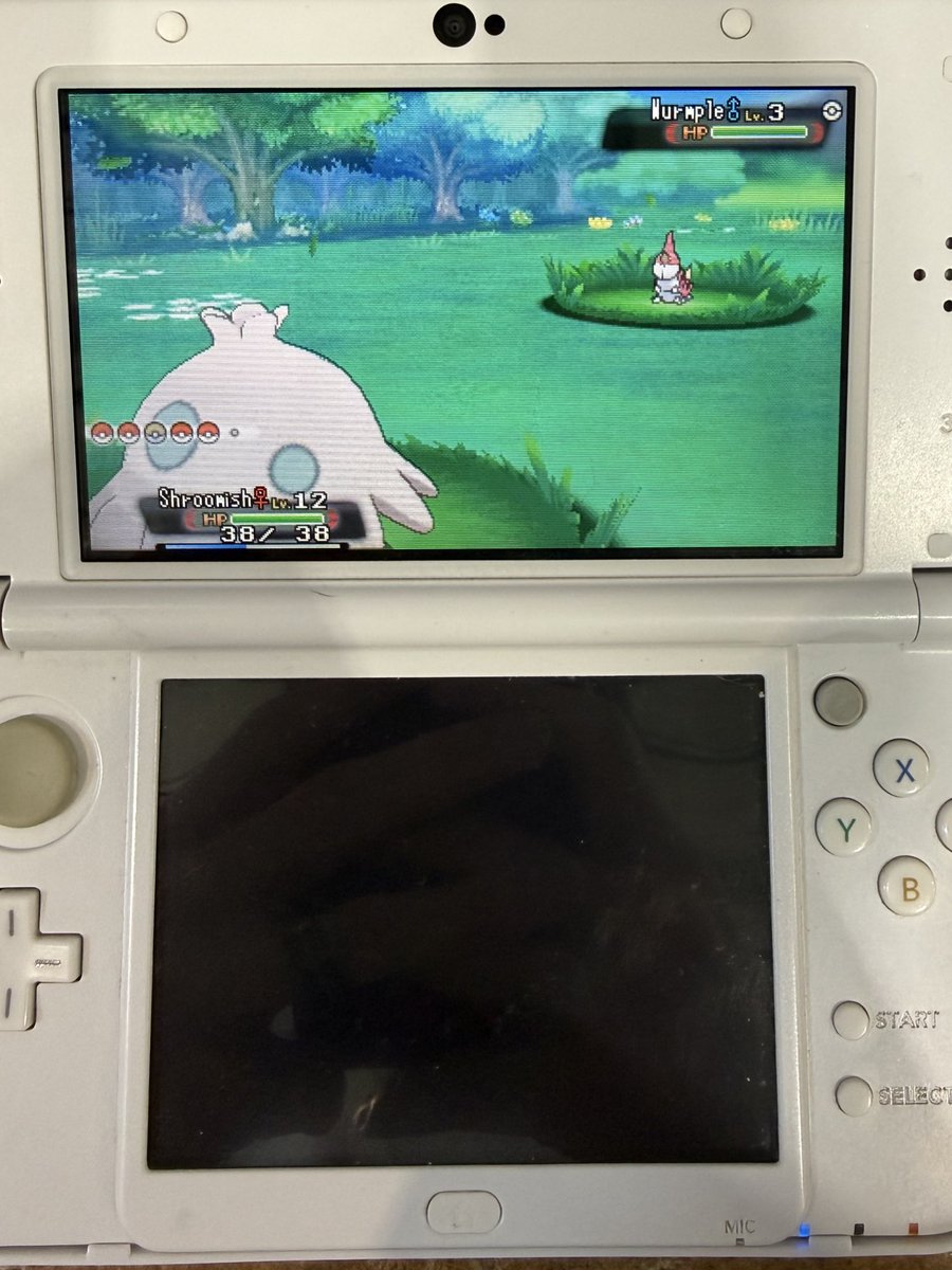 Guys I'm at search level 630 14 hours in. What's going to happen first? Shiny wurmple or phasing with a full odds🤣