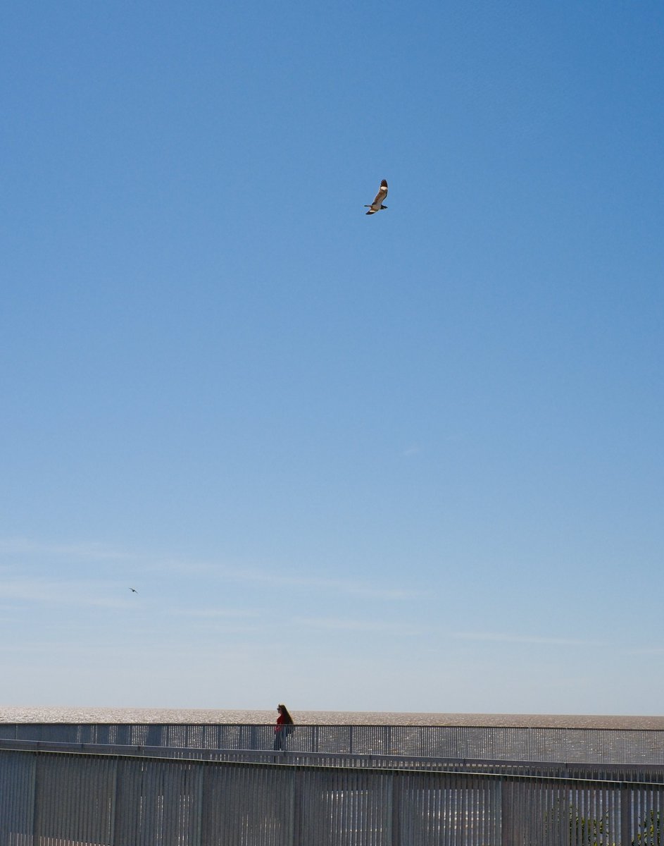 Reserva ecológica 
<a href="/Exactas_UBA/">Exactas UBA</a>