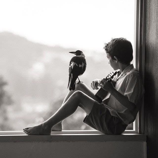 KE11TR000's tweet image. #أصون_الماضي 📌

🕊️🕊️

في قانون قلبي »» 
 من دخله فهو  آمن 
      و من خرج منه فهو آمن  »» 

&quot;&quot; العشره نحسب لها  ألف حساب &quot;&quot; 
حتى لو كان المقيم لايليق بالمقام  ... 

&quot;&quot; كن مطمئناا  فنحن لانخون ولا  نغدر &quot;&quot; 

 🕊️🕊️