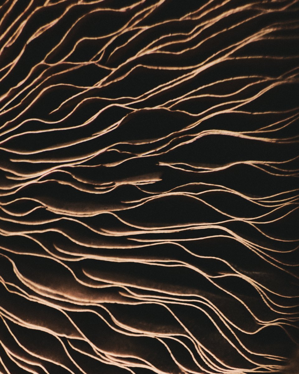 It’s all about the little details for your home. This fall, add an essential touch with our new Home line drop. Discover every piece at lefties.com and in selected stores. #Lefties #LeftiesEverywhereOnEveryone