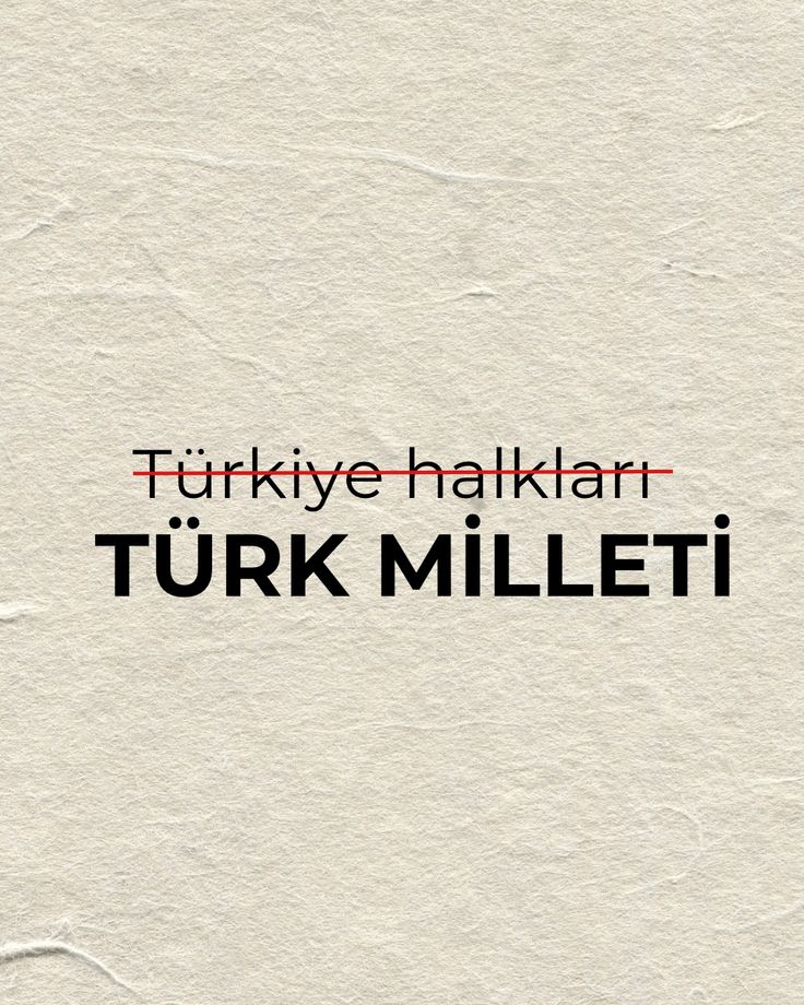 Didem Akıncı (@didosakinci) on Twitter photo 