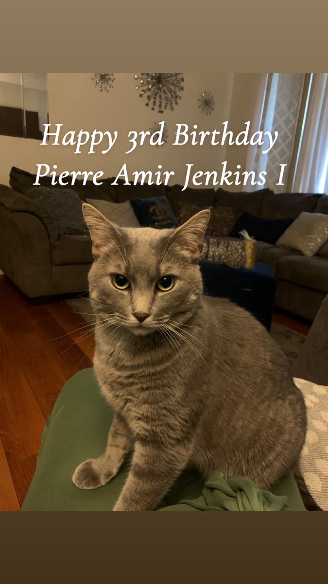 MechelleJenkins's tweet photo. Wishing Pierre’ Amir Jenkins a Happy 3rd Birthday!!! https://t.co/MlrJIjluye