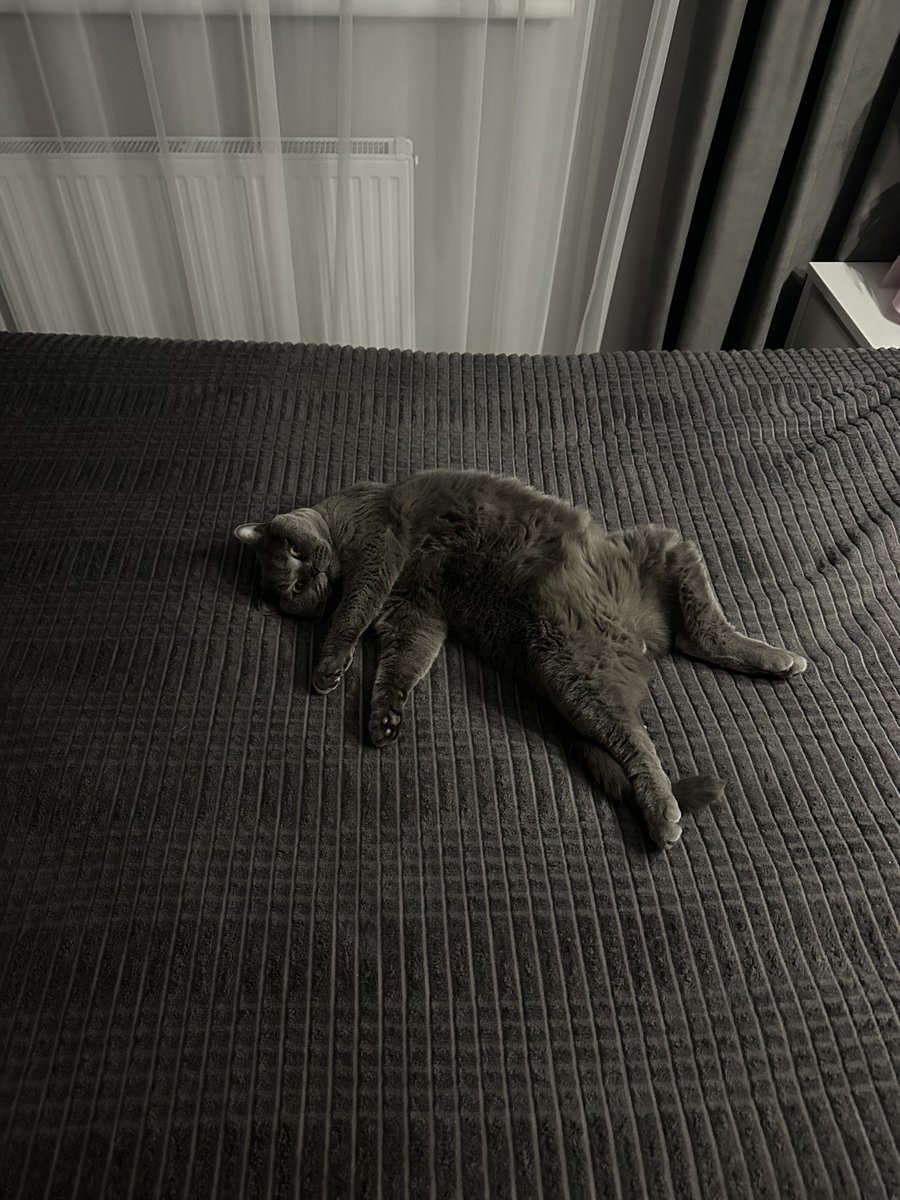 лёг и похуй ему на всё