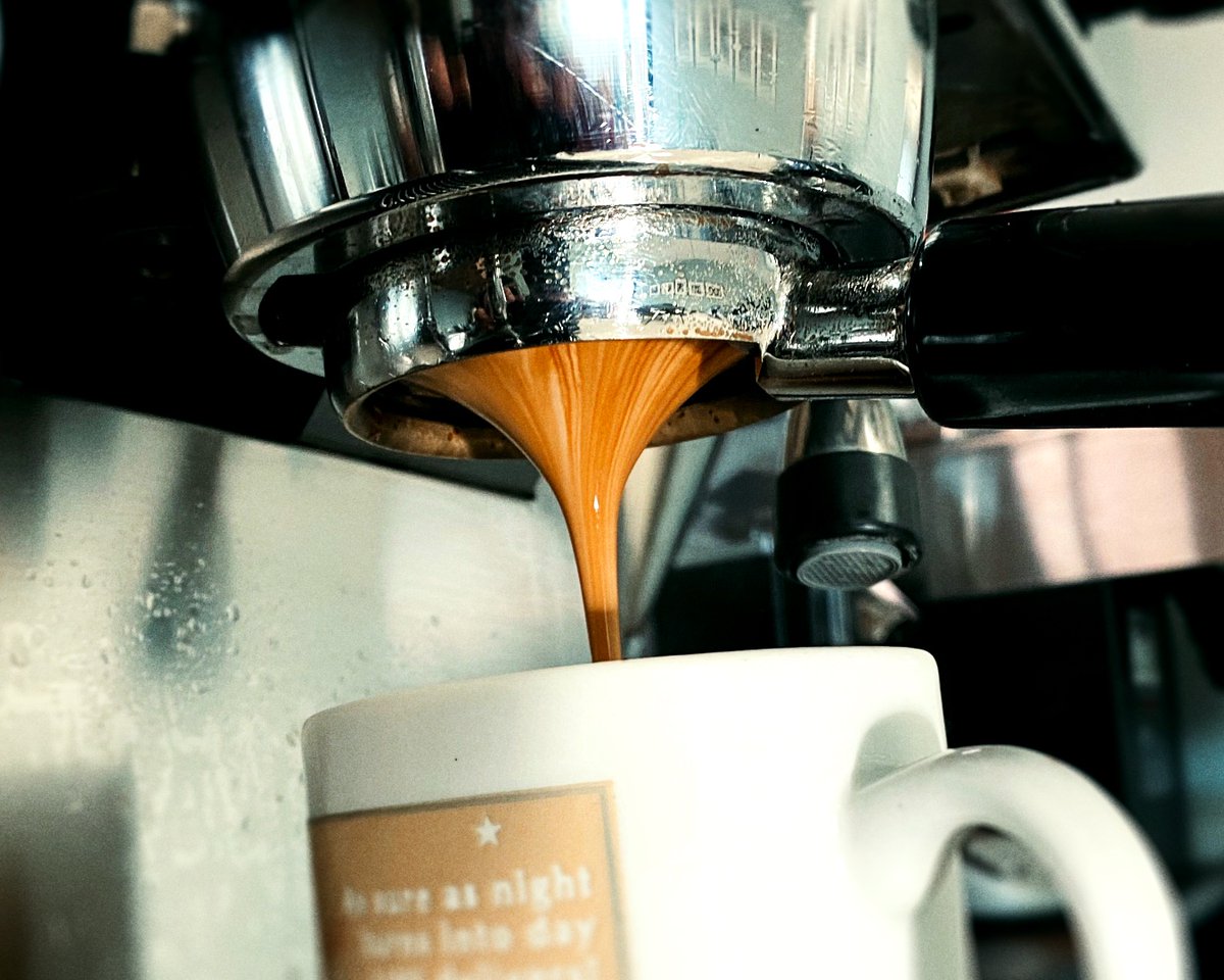 strattoncamera's tweet photo. Celebrating the greatest holiday of them all: National Coffee Day! https://t.co/IvxBZRr7qg