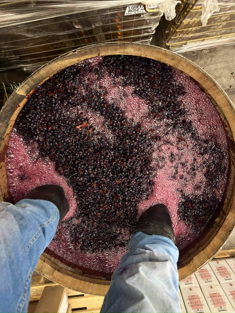 Château de Clapier tweet media