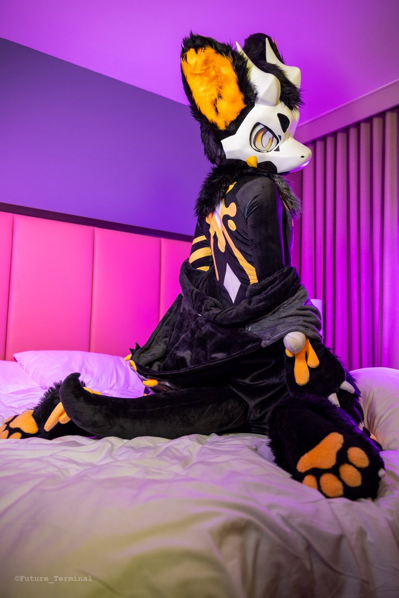 Qutiefox's tweet image. 接下来是付费内容
📸：@Future_Terminal