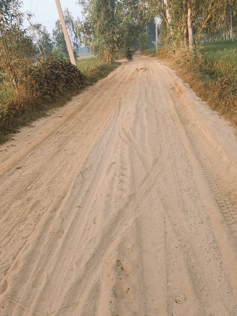AslamMisbahi's tweet photo. @RampurDm ब्लॉक सैदनगर के ग्राम हमीरपुर से खुशहालपुर तक का मार्ग जो पूर्ण रूप से विलुप्त हो चुका है, धूल मिट्टी ने राहगीरों का आवागमन दुश्वार कर दिया है। सरकार इसका संज्ञान ले। https://t.co/rzi4jbsmrF