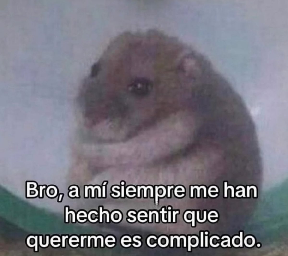 skereunpesado's tweet photo. https://t.co/GfSpCWOXQb