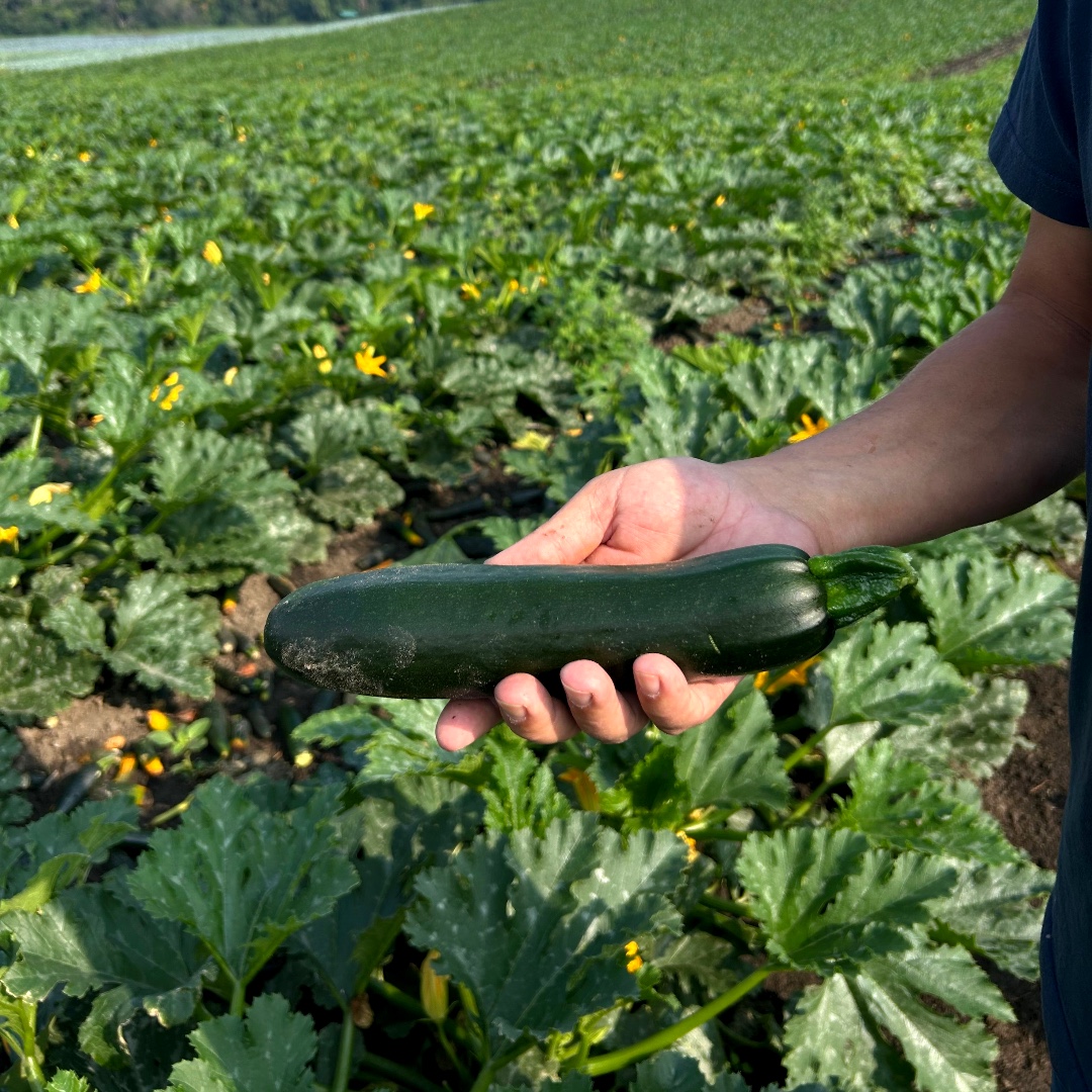 Peak of the Market Ltd. tweet media