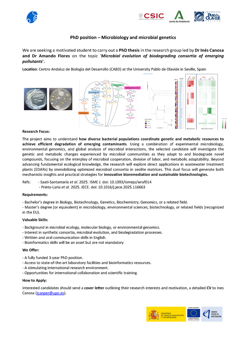 Happy to share a PhD opportunity in our lab <a href="/AmandoFlores_1/">Amando Flores</a> <a href="/CABD_UPO_CSIC/">Centro Andaluz de Biología del Desarrollo</a> <a href="/SEMicrobiologia/">SEM</a> <a href="/pablodeolavide/">Pablo de Olavide</a>