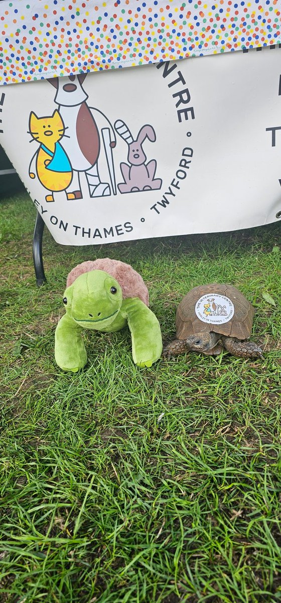 🐢🥇💚 WE HAVE A WINNER 💚🥇🐢

Congrats tp George, who was spot-on when he entered our Guess The Rock's Weight Competition at Henley Show! 

'The Rock' Cuddly Toy will be loved by his 2yr old son ❤️
