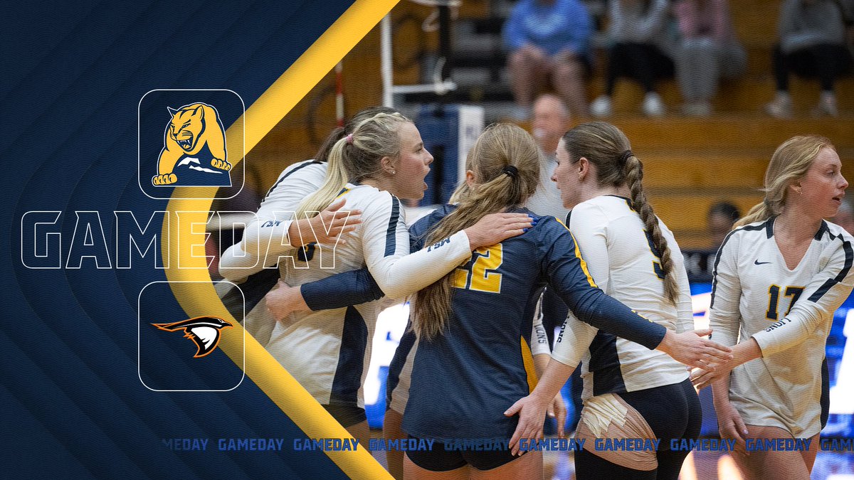 🏐| #GAMEDAY 
🆚|  Anderson
⏰| 2 PM
📌| Harrington Center
📺| tinyurl.com/73p8bj4x 
📊| tinyurl.com/2ewvzjpp