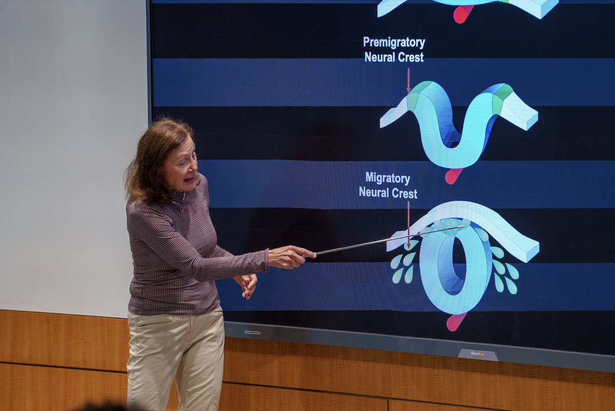 Stowers Institute tweet media