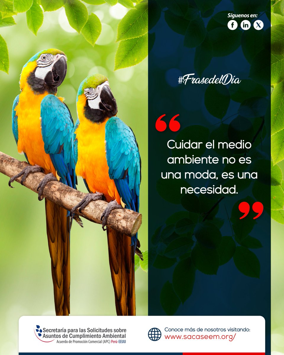 Saca_Seem's tweet photo. 💬 Proteger la naturaleza no es una tendencia, sino una urgencia global.
En SACA promovemos la participación del público para asegurar que las leyes ambientales se apliquen efectivamente.

🌱 Conoce más en: https://t.co/TzhzVxhbuM

#FraseAmbiental #SACA #ConcienciaVerde https://t.co/sxzuCpUrGh