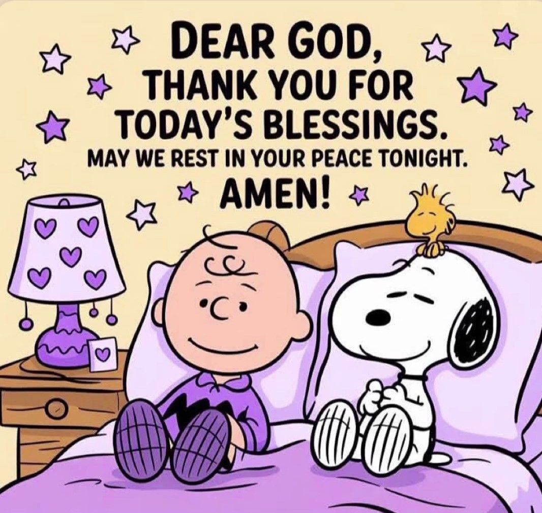 Sweet Dreams Wrapped in Blessings 💫💤
#Snoopy #Peanuts