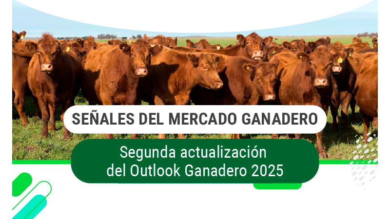Ganadería argentina: las señales del mercado y las oportunidades según los CREA
#ganadería #mercados #BoomGanadero 

agrositio.com.ar/canal-agrositi…