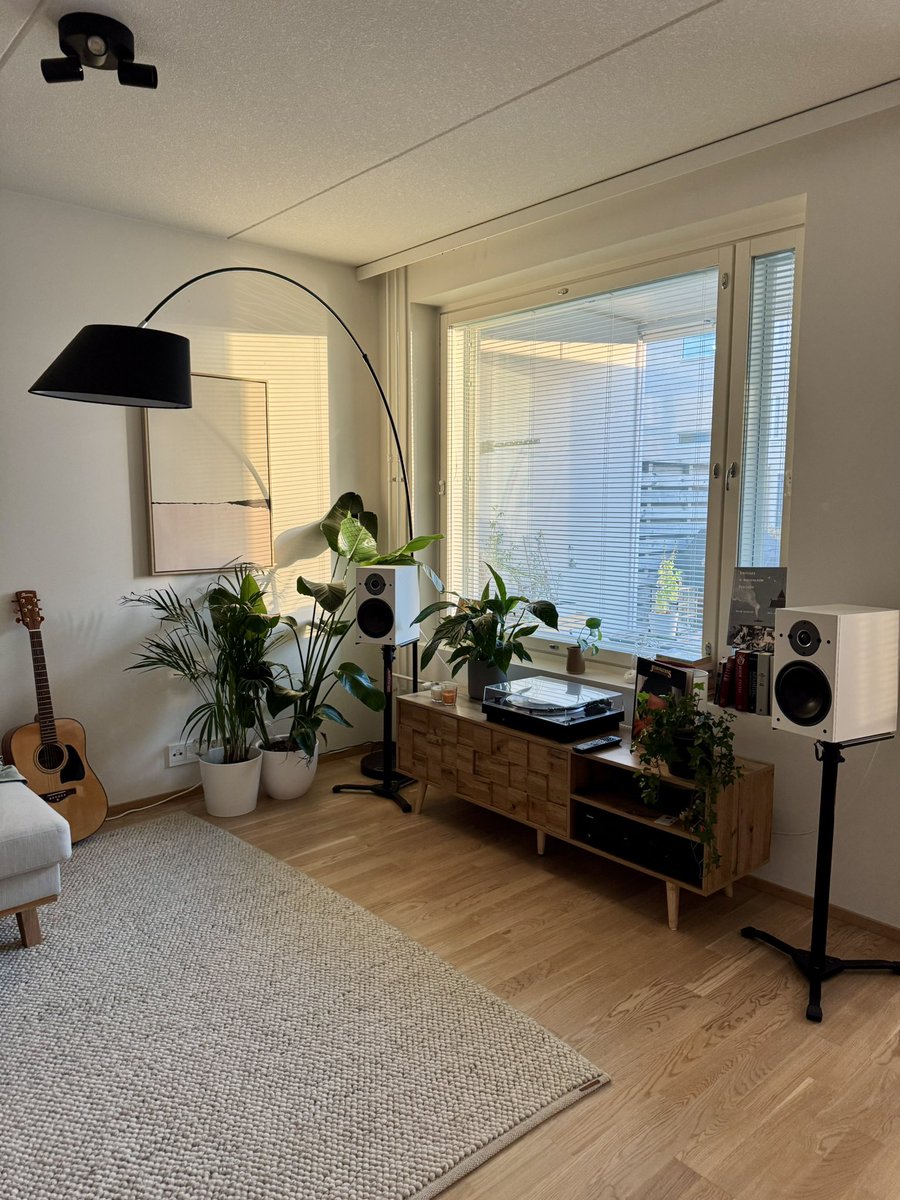 Пока устраивал своим комнатным растениям тропический экспириенс под душем, сфотографировал как голо гостиная выглядит без них