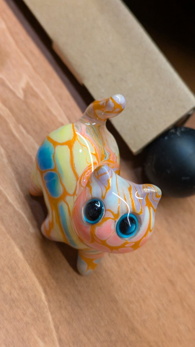 あの 、コモンズDにあるスーダンの猫ちゃん見て なんと購入できちゃう