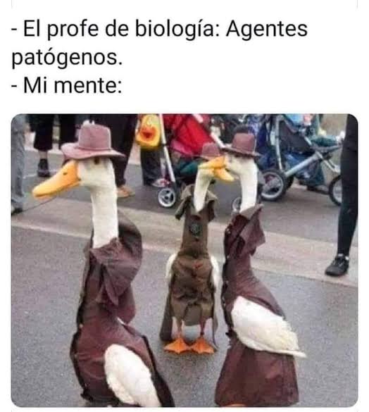 Humor de intelectuales 😆