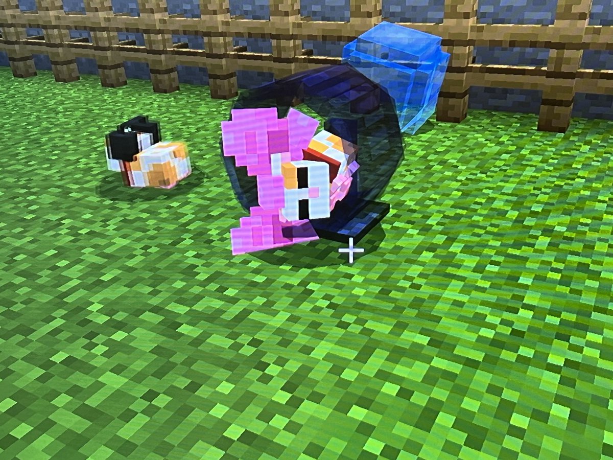 マイクラ ハムスターのアドオンいれたら幸福度高くてはむちゃん王国から出れん