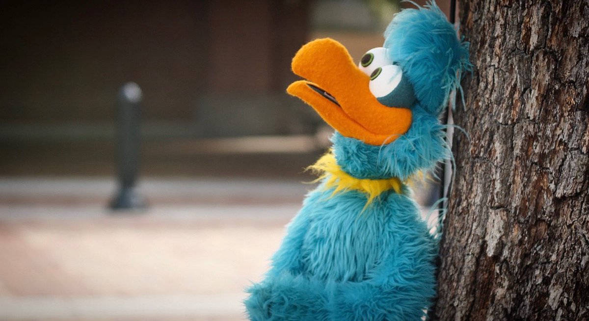 BirdCallRadio's tweet photo. Contemplative dodo ๐
#thought #deepthoughts #birdcall #birdcallradio #dodo #contemplatinglife https://t.co/JRC4tCPyoj