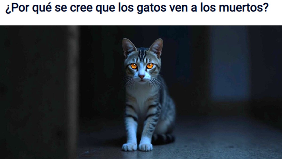 Artículo divulgativo

Clicar en el enlace ⬇️
elfunerariodigital.com/2025/09/28/por…