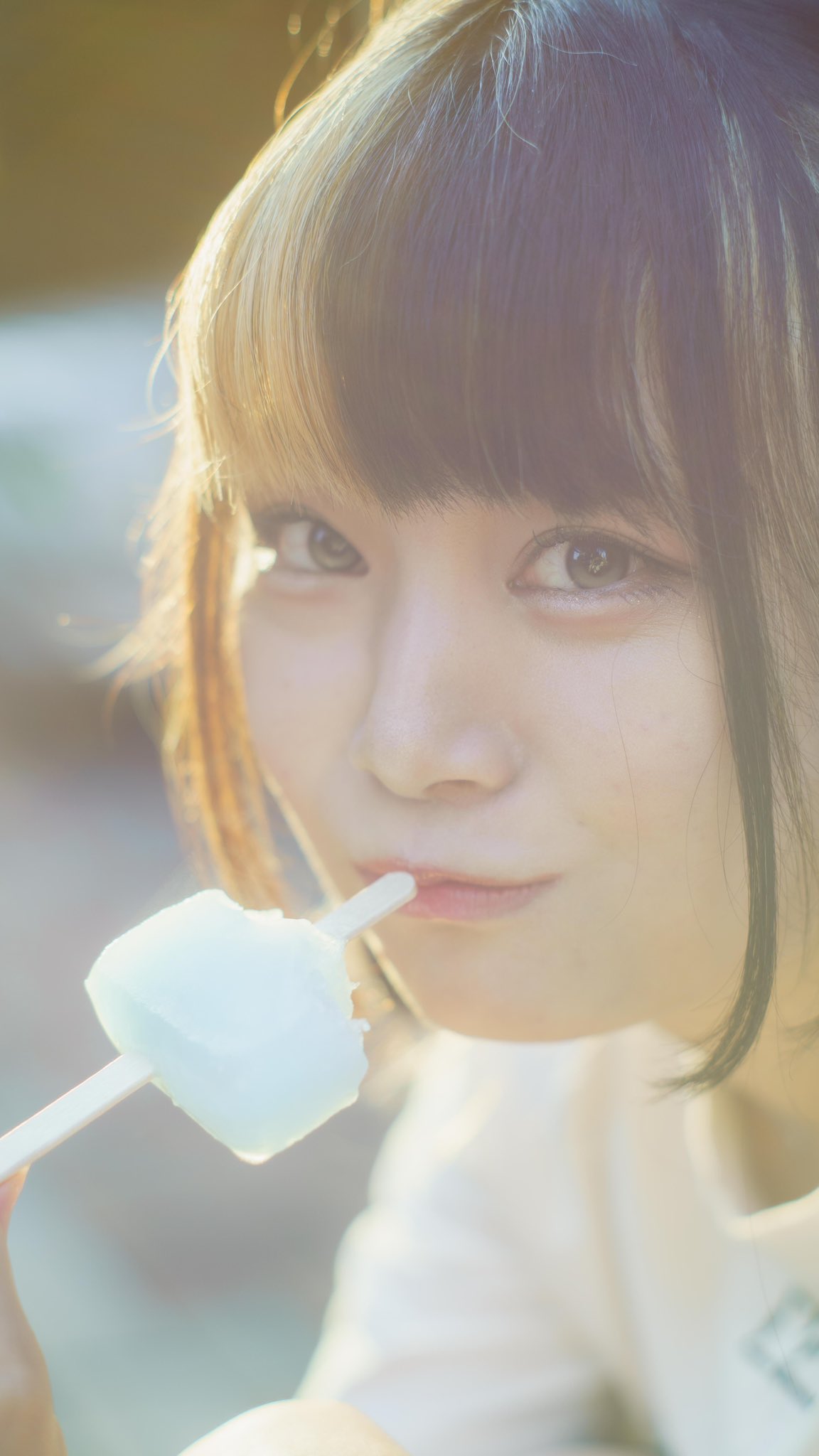 おまとめ早い者勝ち 格安です　勢揃い❣️ 早インパラ - البحث / X