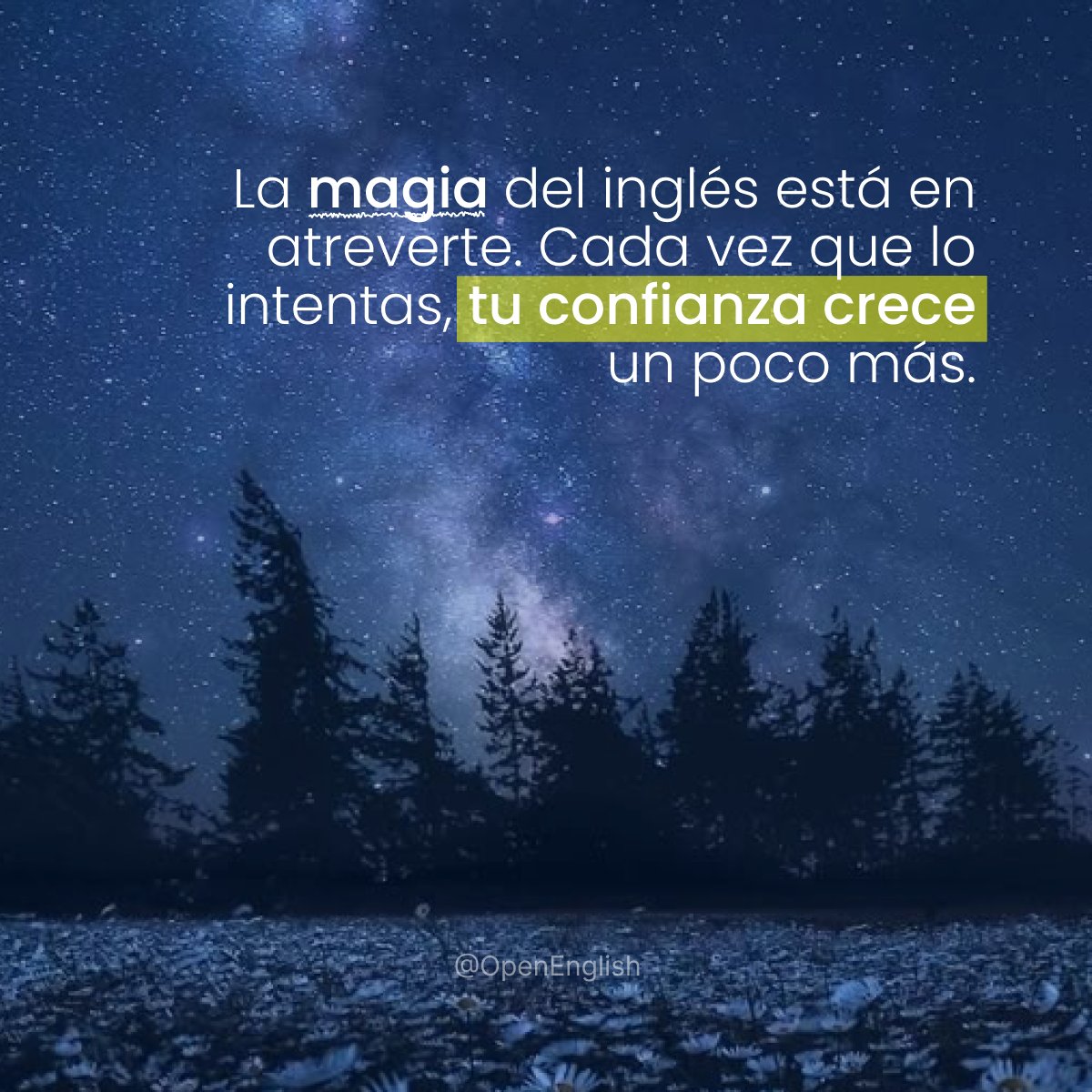 OpenEnglish's tweet image. 🚀 Aquí todos tenemos algo en común: ¡queremos dominar el inglés!
👉 Cuéntanos, ¿qué logro te hace sentir orgulloso en tu camino con el inglés? 🎯
#Openenglish #tupuedeslograrlo #InglésParaTi #AvanzaConConfianza